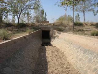 �����r�I(y��)���^�ӵ��y��